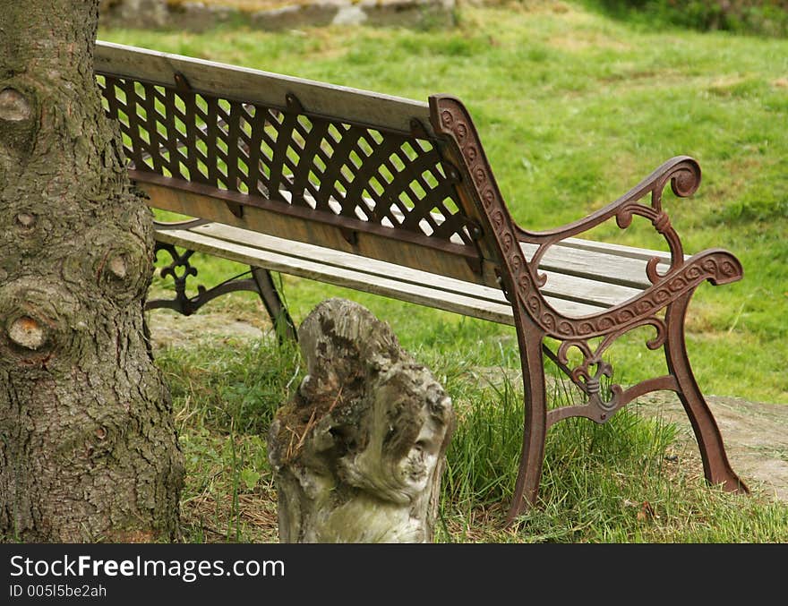 Garden bench in a botanical garden, framed behind the mass of a pinetree and facing an open space. Garden bench in a botanical garden, framed behind the mass of a pinetree and facing an open space