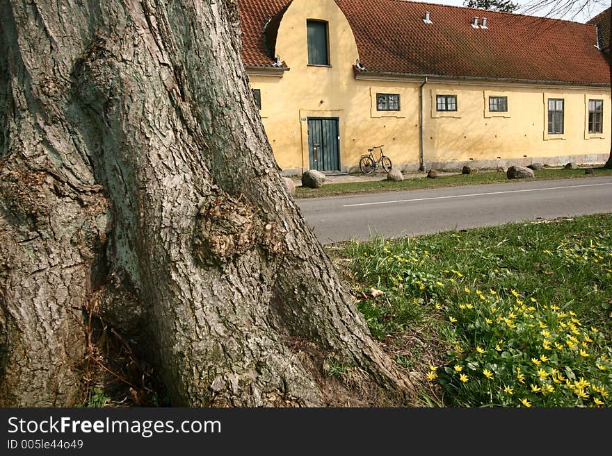 Large yellow l house a sunny summer day with a bike in a village in denmark, tree and flowers in the foreground. Large yellow l house a sunny summer day with a bike in a village in denmark, tree and flowers in the foreground