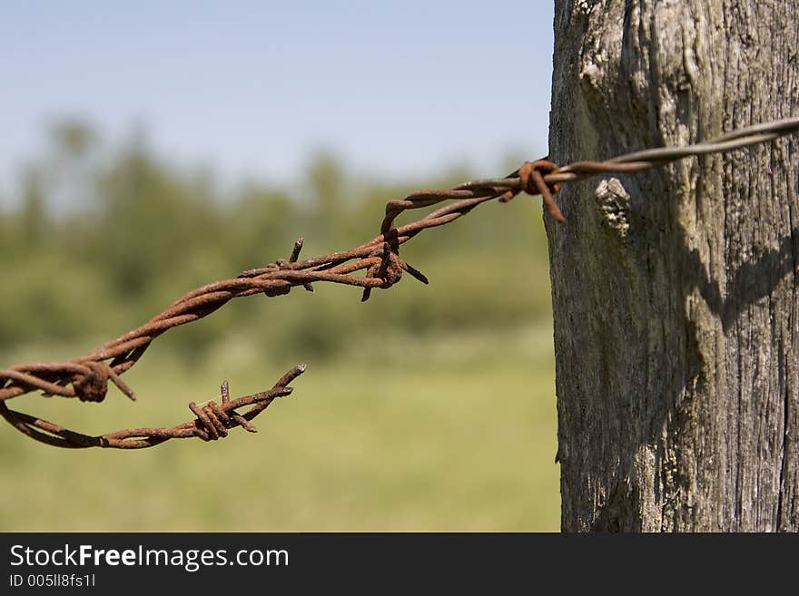 Rusty barbed wire. Rusty barbed wire