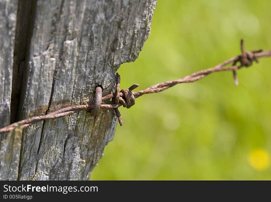 Rusty barbed wire. Rusty barbed wire