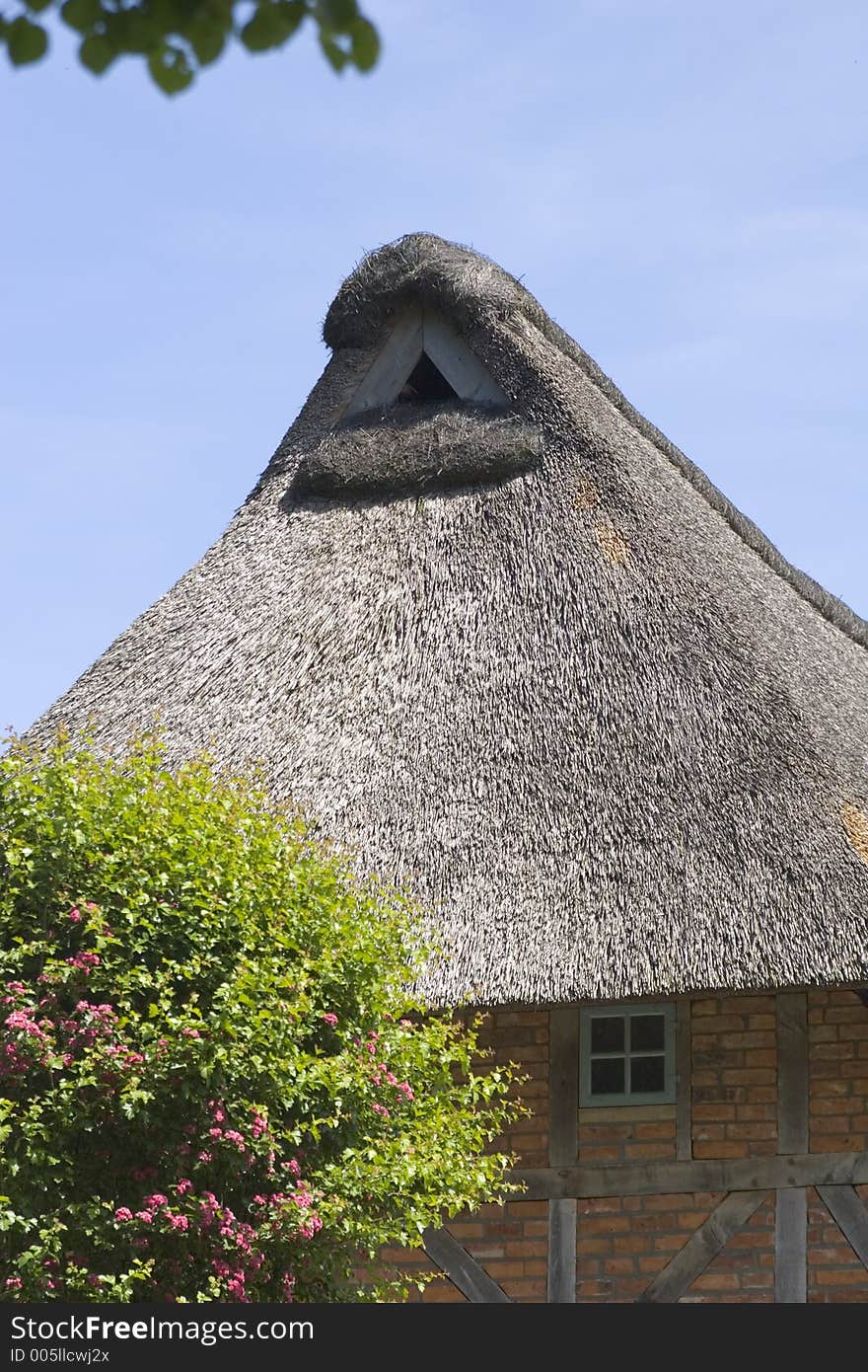 Thatched roof