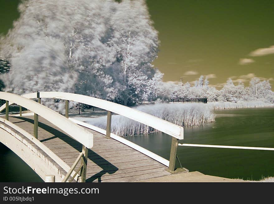 Infrared Pond