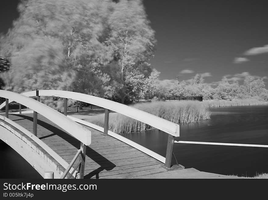 Infrared Pond