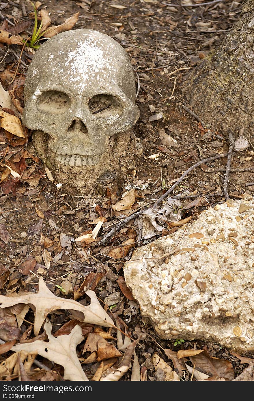 Concrete skull in shape of human head. Concrete skull in shape of human head