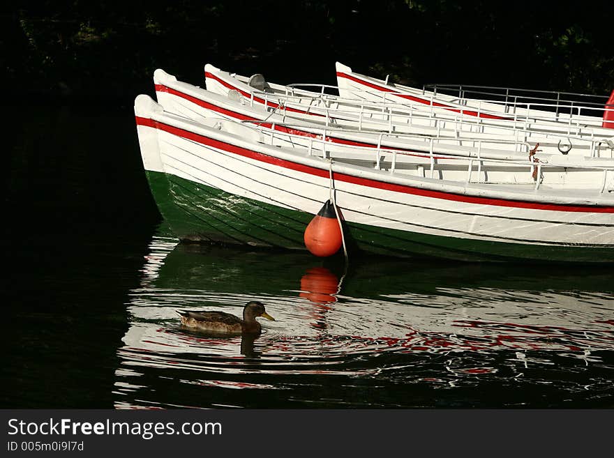 Boat On A Lake