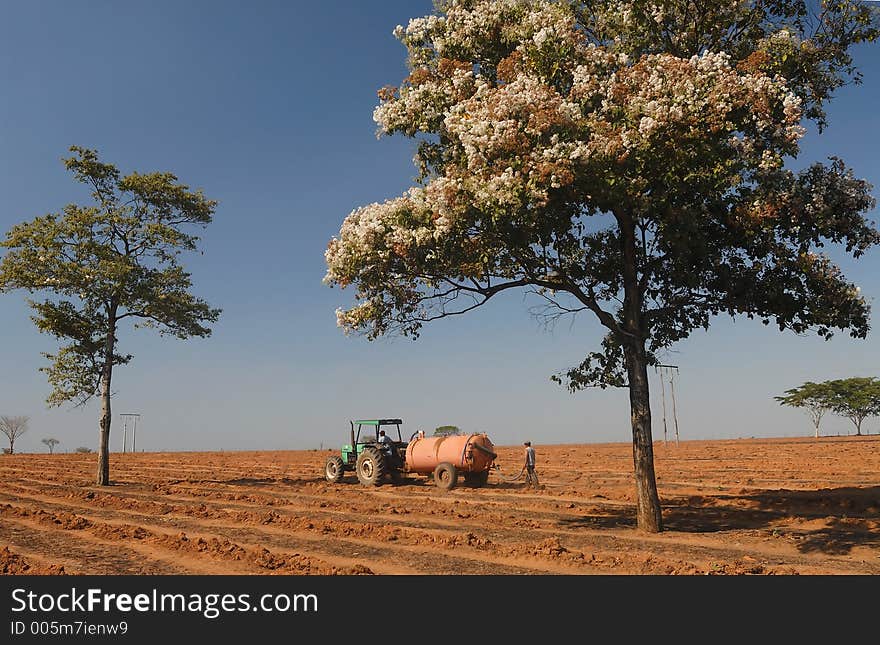 Farmer