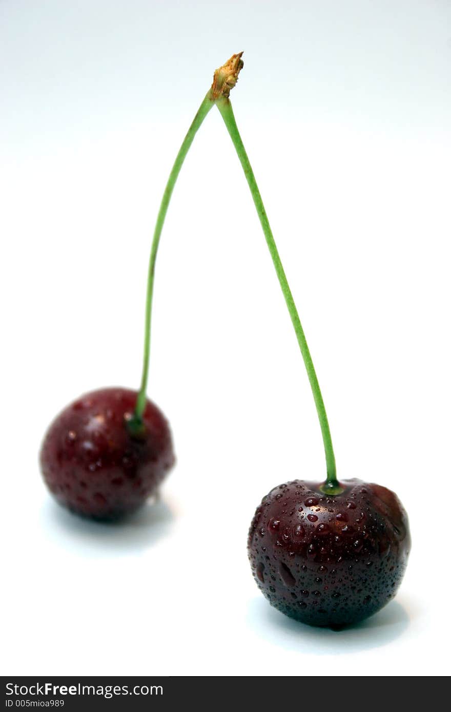 Two cherries in isolated