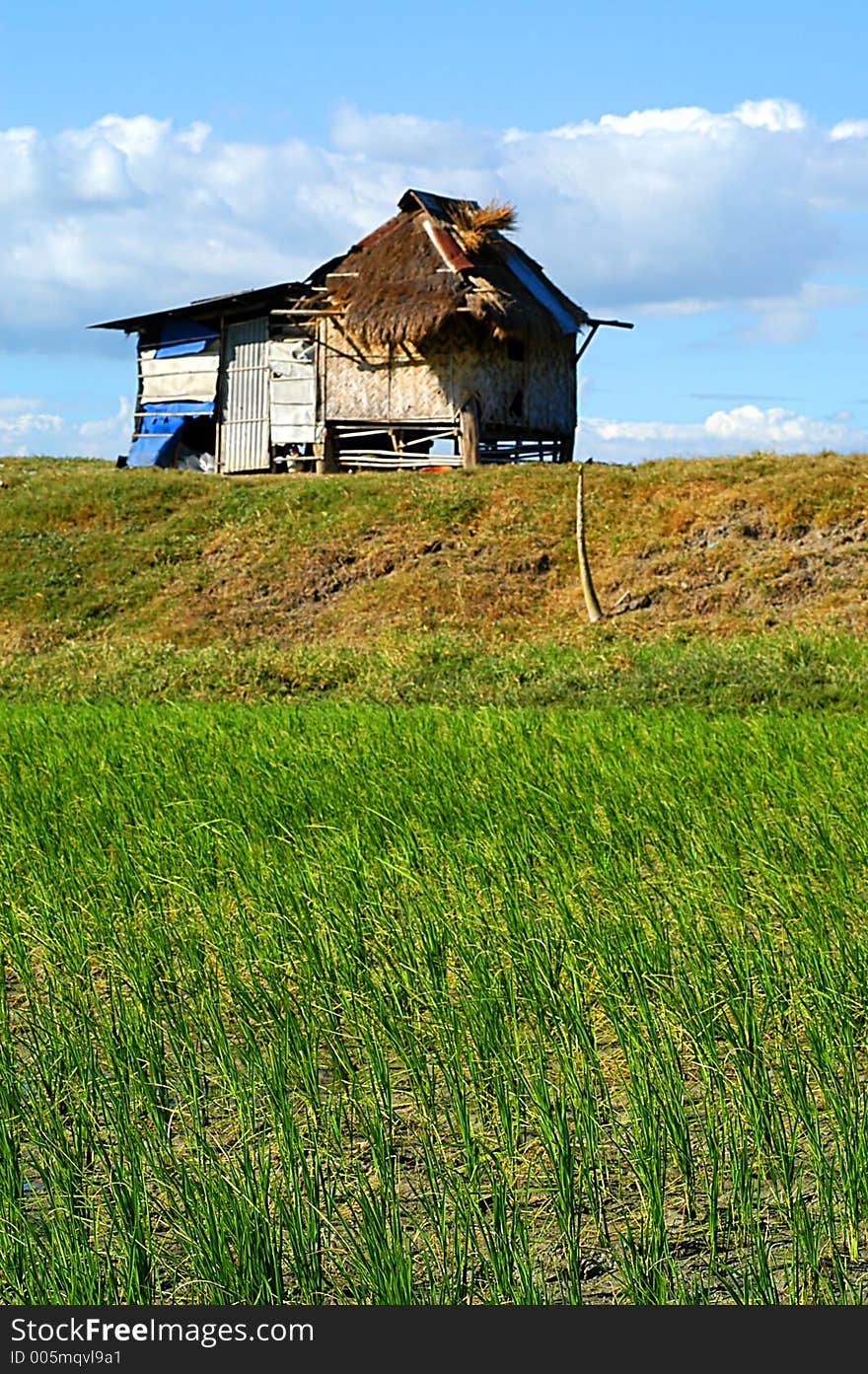 Farm Hut - focus on the front plan, the house is blured