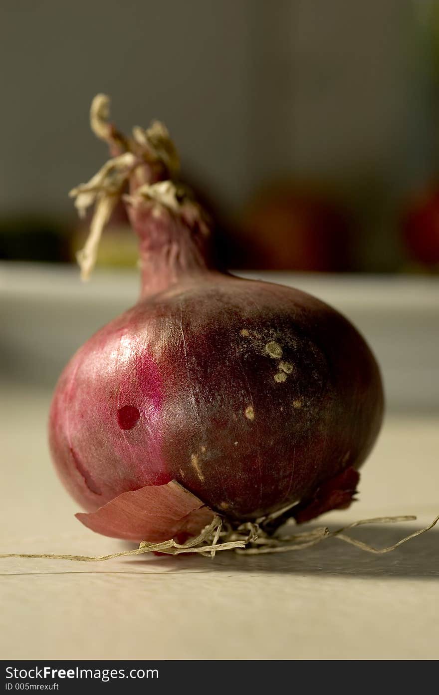 Onion lit by afternoon light from window at left. Onion lit by afternoon light from window at left