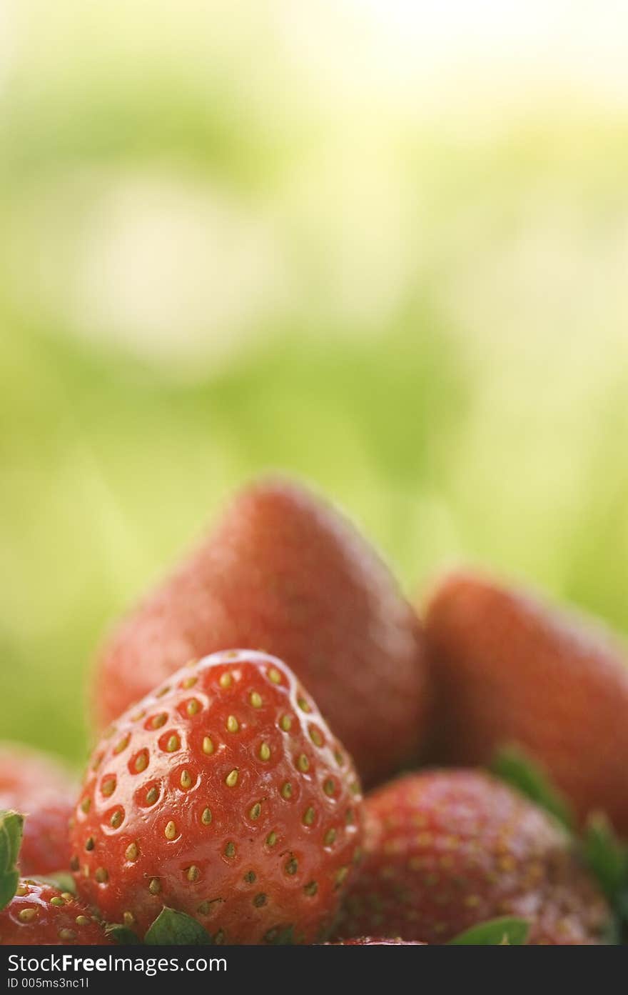 Strawberries, shallow DOF. Strawberries, shallow DOF