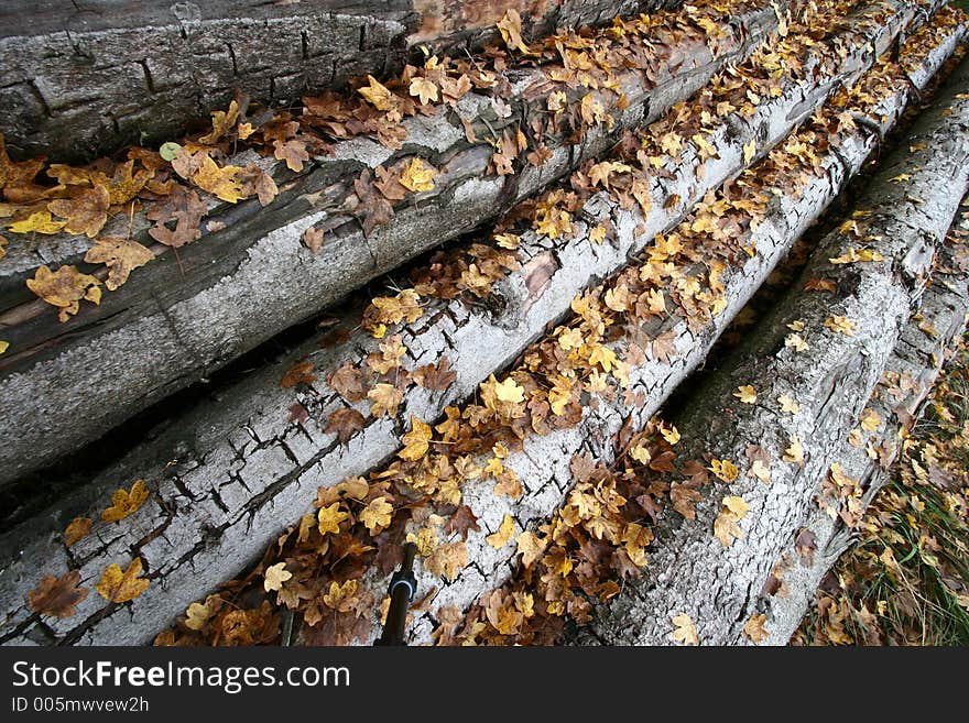 Pile of tree truncs captured with a wide angle in autumn with dead leaves on them. Pile of tree truncs captured with a wide angle in autumn with dead leaves on them