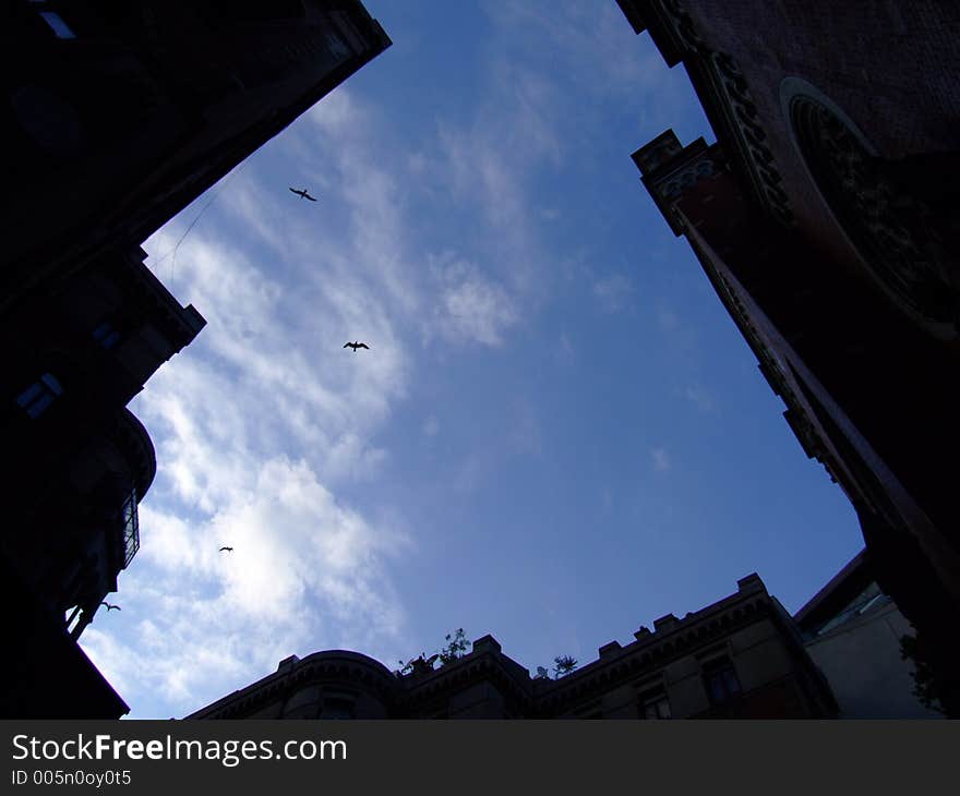 A piece of sky with birds symbolizing freedom. A piece of sky with birds symbolizing freedom