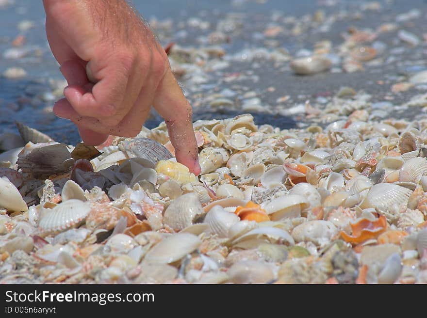 Enjoying day at ocean side in florida looking for special shells. Enjoying day at ocean side in florida looking for special shells