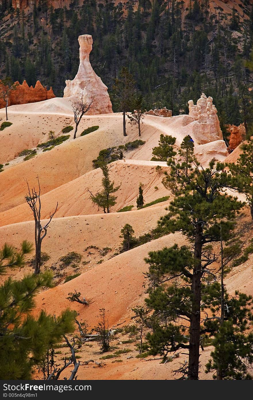 Trails in Bryce canyon NP