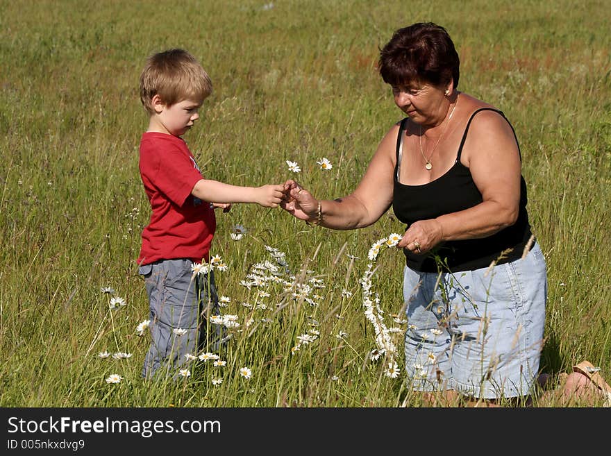 Grandmother and grandson picking flowers. Grandmother and grandson picking flowers