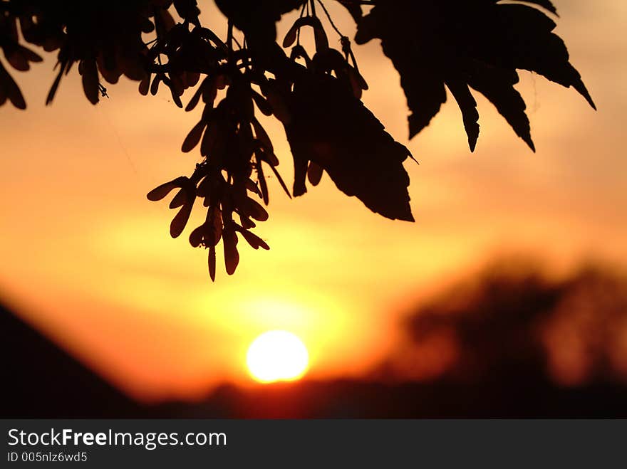 Sunset in Belgium in June. Sunset in Belgium in June