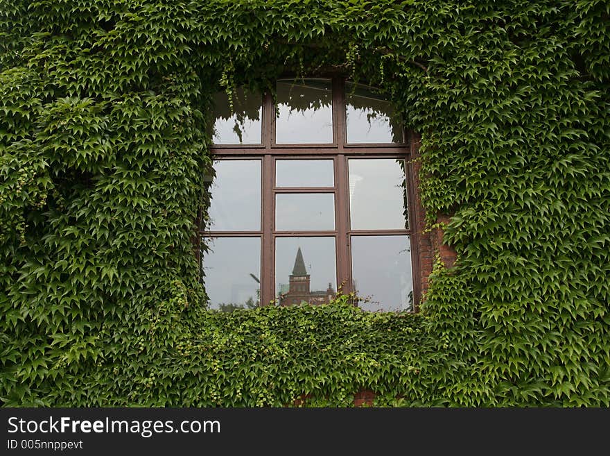 Green Window