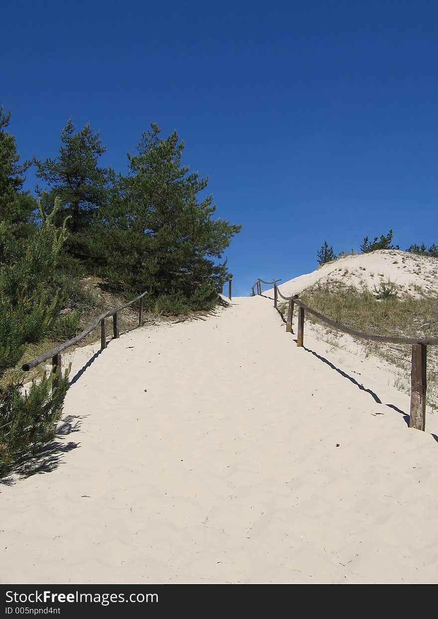 sandy path to sea