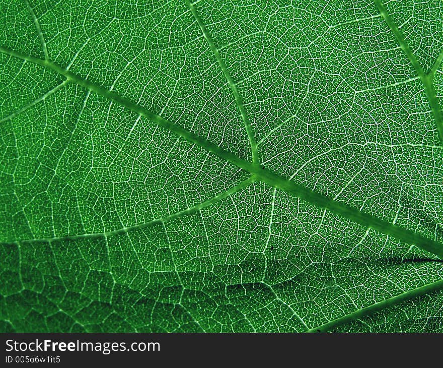 Green leaf structure