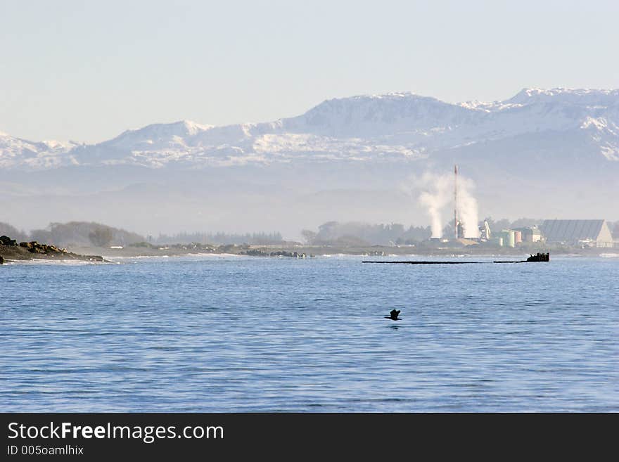 Snow on the Hills behind Napier, New Zealand.