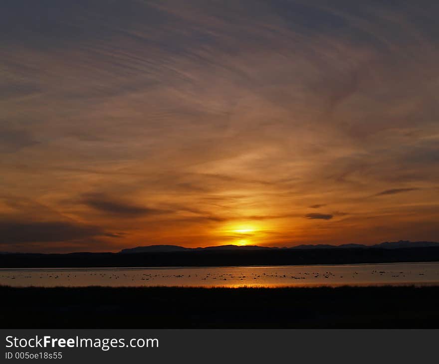 This picture was taken at the Freezeout Lake waterfowl management area in MT. This picture was taken at the Freezeout Lake waterfowl management area in MT.