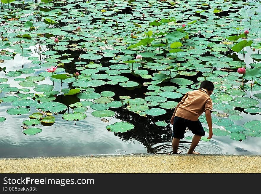 Lake garden