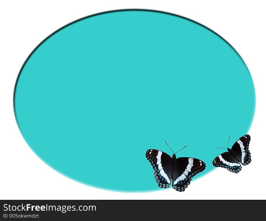 Butterflies over turquoise background. Butterflies over turquoise background.