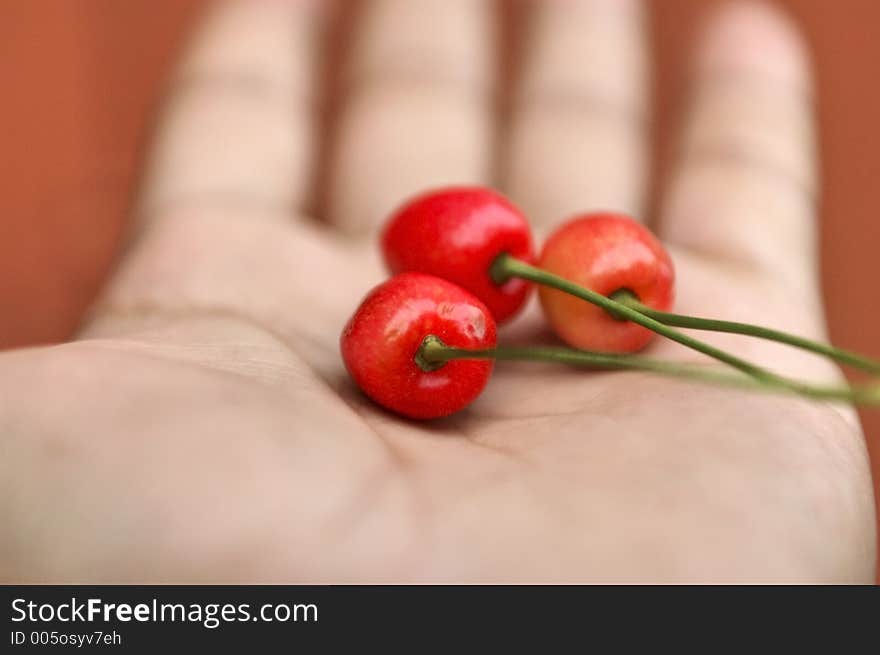 Red Berries