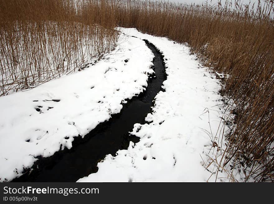 Winter river