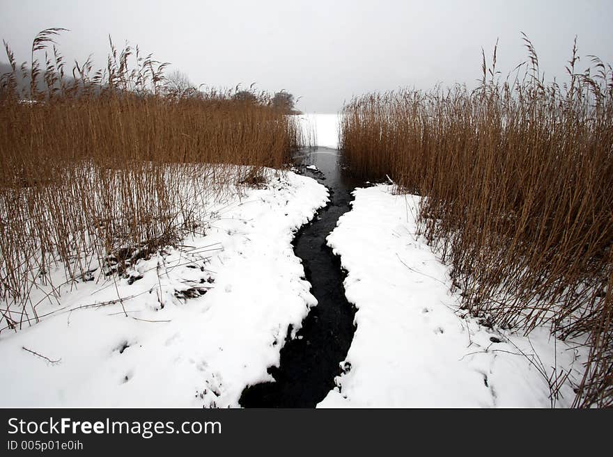 Winter river