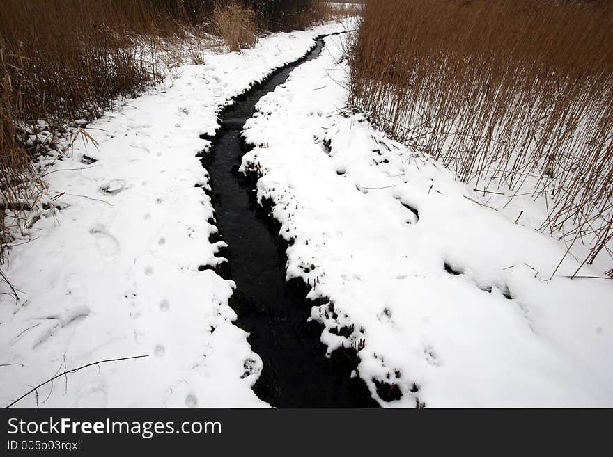 Winter river