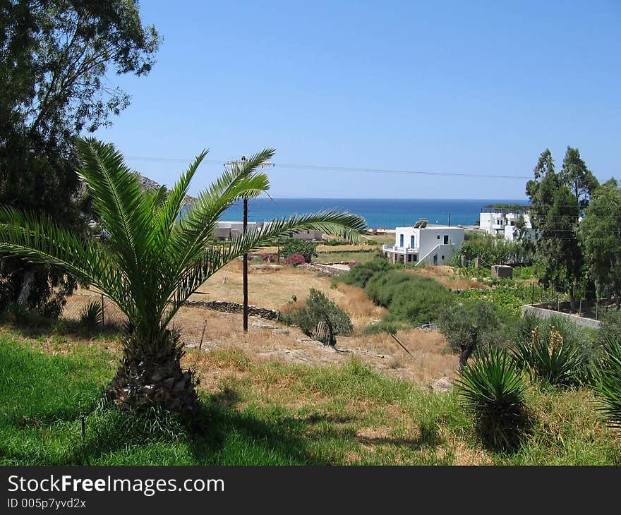 Sea view with some trees