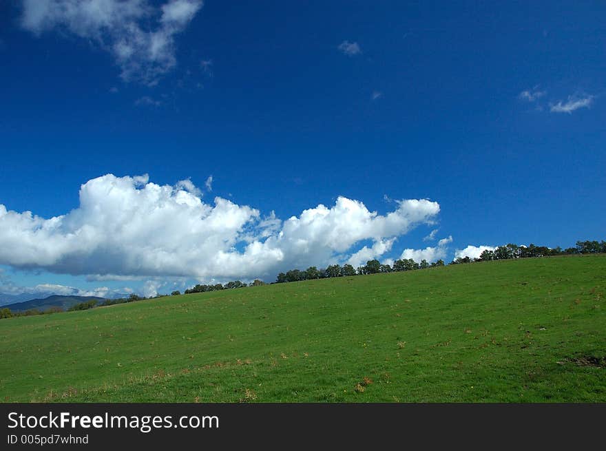 Big field and sky. Big field and sky