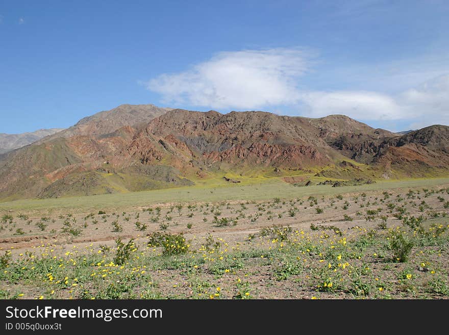 Rugged desert terrain of Death Valley