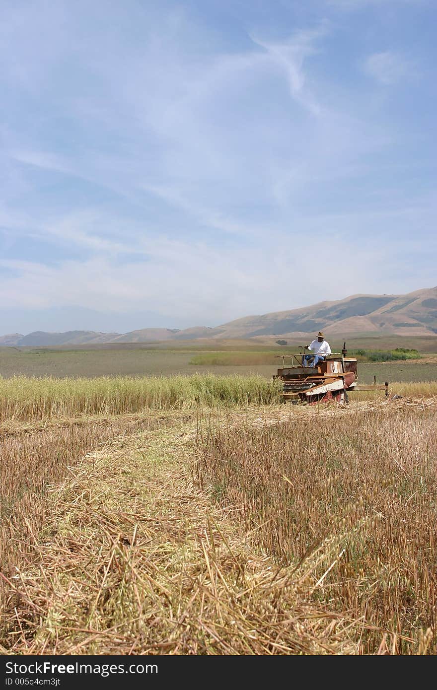 Man harvesting his crop on his tractor in his field