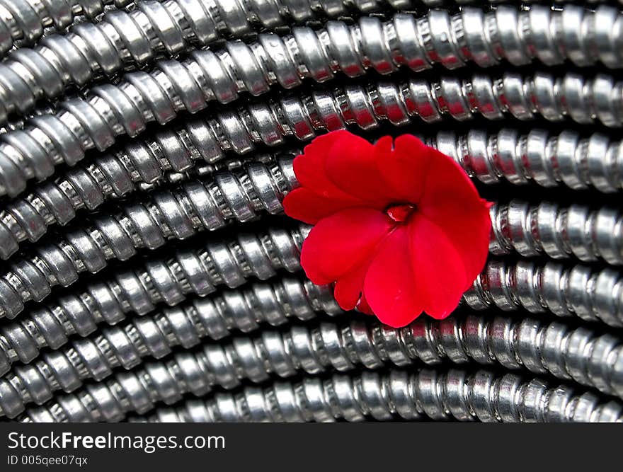 Steel And Flower