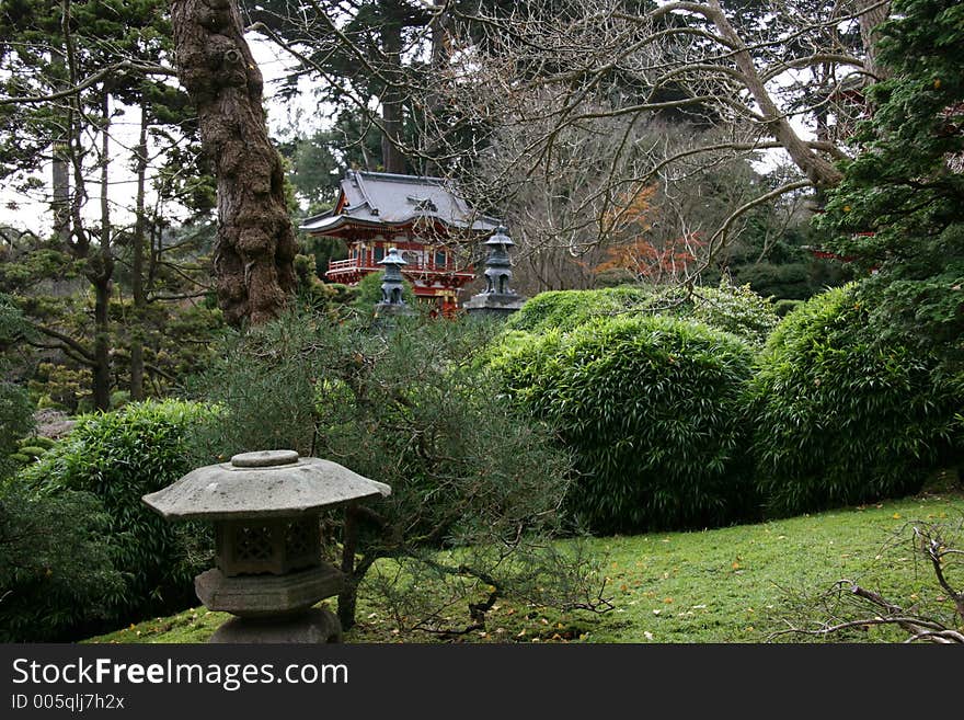 Japanese Tea Gardens