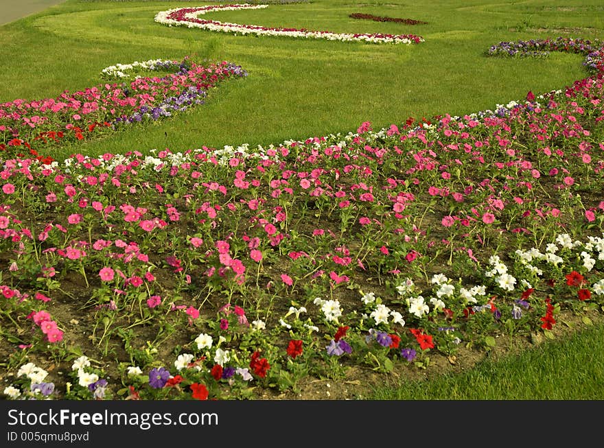 Blooming gardens in sunny day. Blooming gardens in sunny day