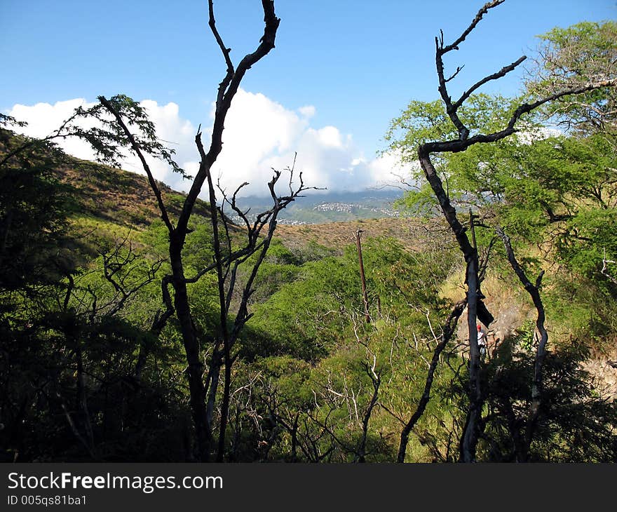 Diamond Head Trail