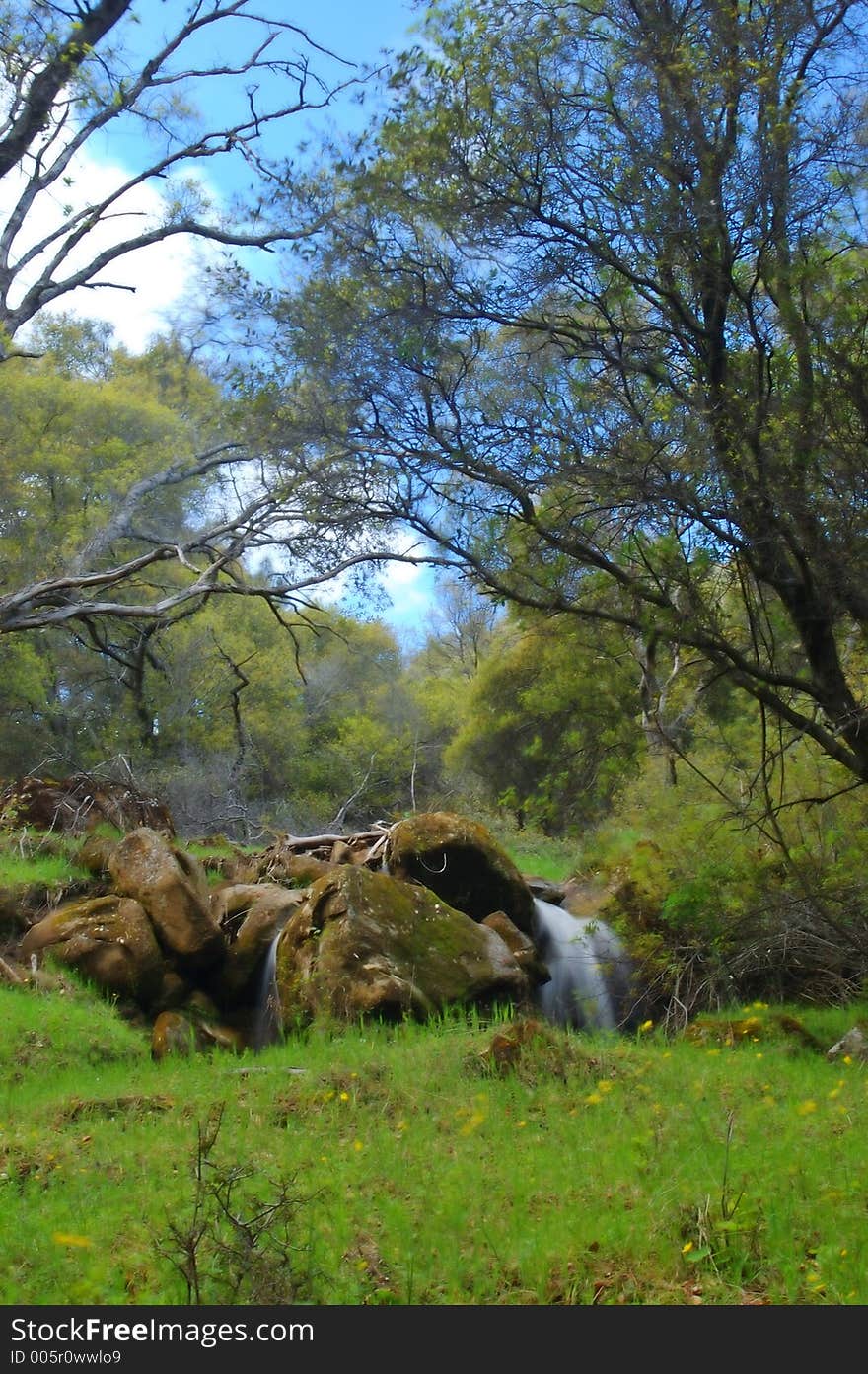 The countryside of northern California in springtime. The countryside of northern California in springtime