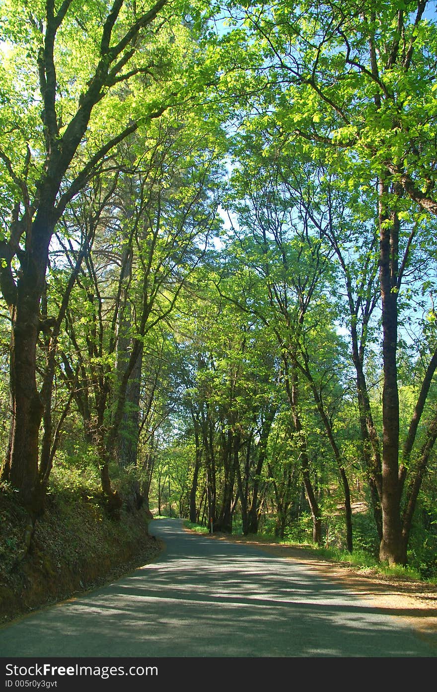 Spring Countryside