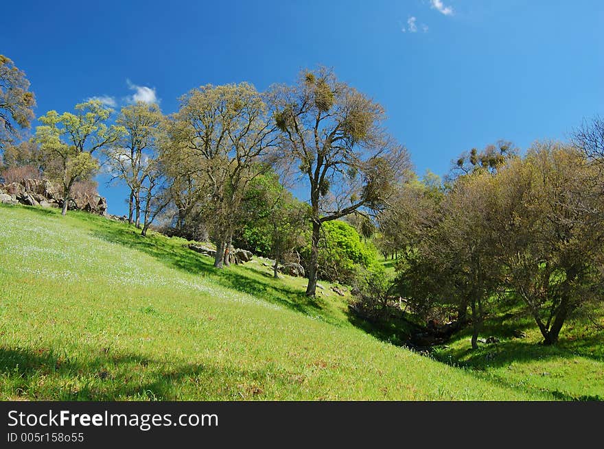 The countryside of northern California in springtime. The countryside of northern California in springtime