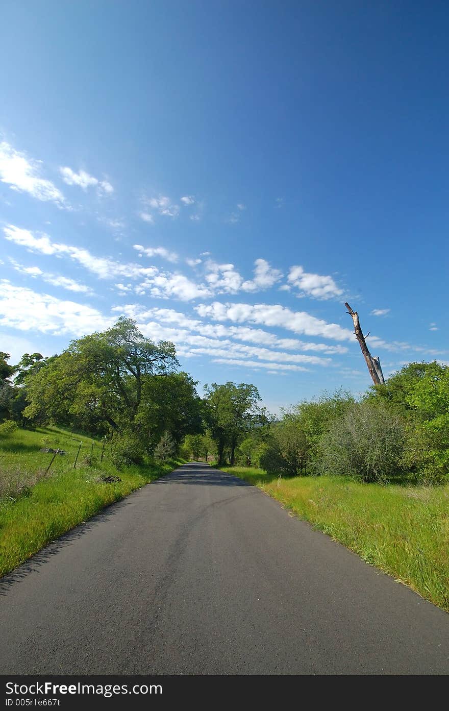 The countryside of northern California in springtime. The countryside of northern California in springtime