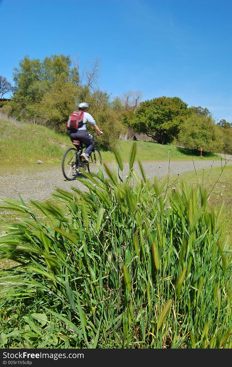 Mountain biker on the trail