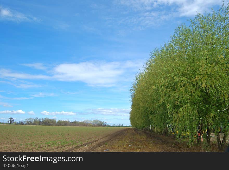 The countryside of northern California in springtime. The countryside of northern California in springtime