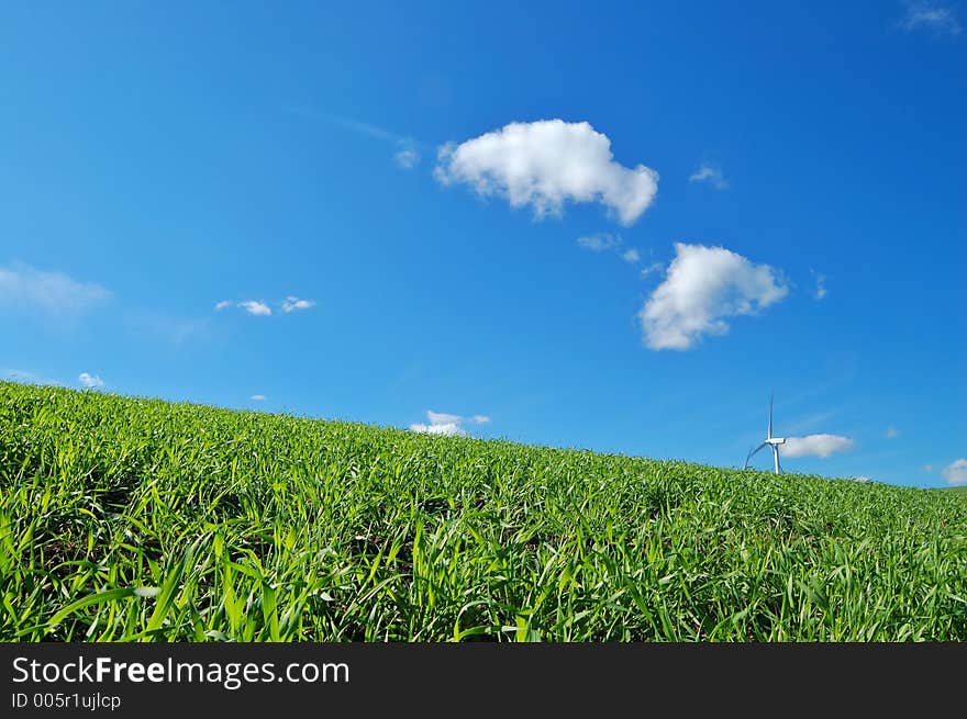 Springtime field