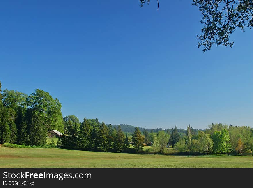 Spring countryside