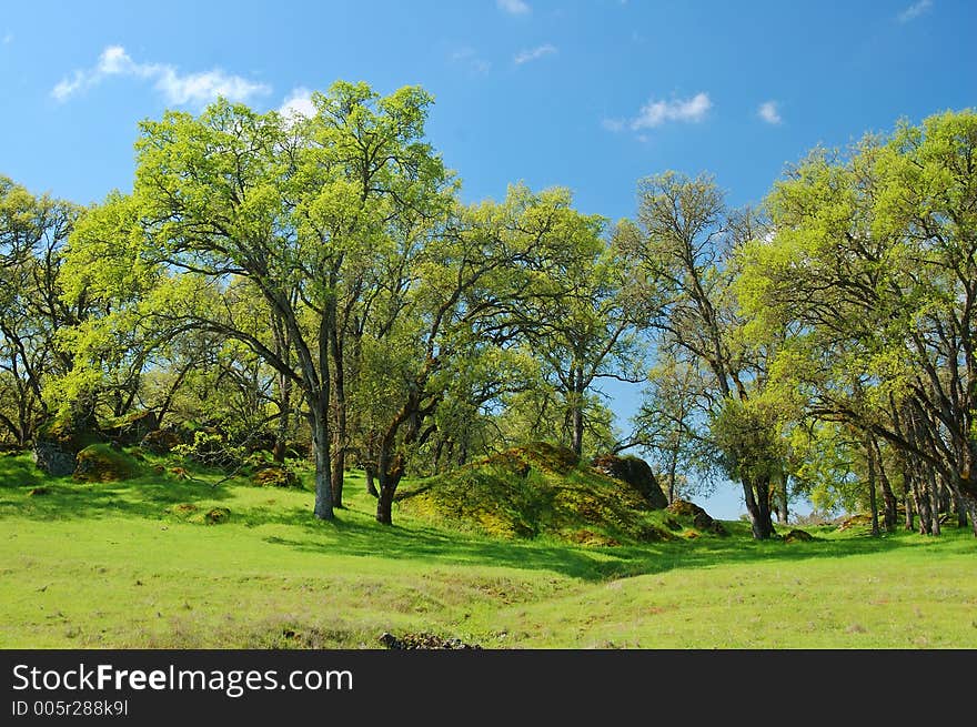 The countryside of northern California in springtime. The countryside of northern California in springtime