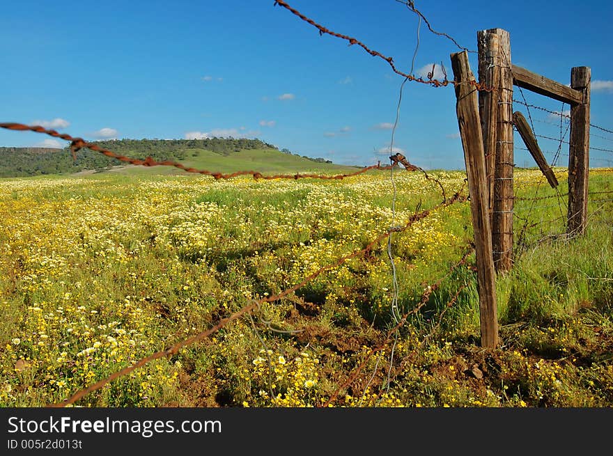 The countryside of northern California in springtime. The countryside of northern California in springtime