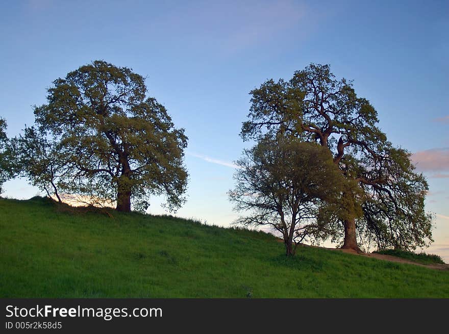 The countryside of northern California in springtime. The countryside of northern California in springtime